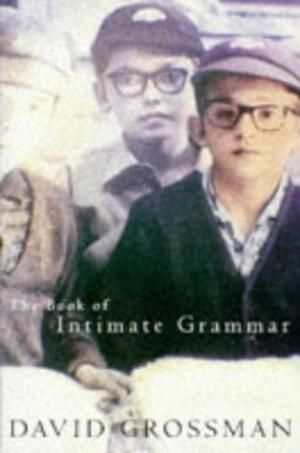 The Book of Intimate Grammar by David Grossman