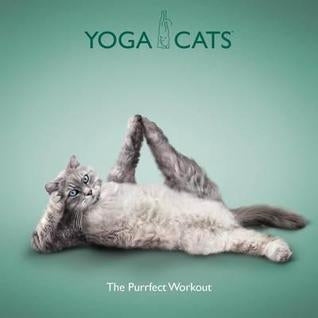 Yoga Cats by Dan Borris