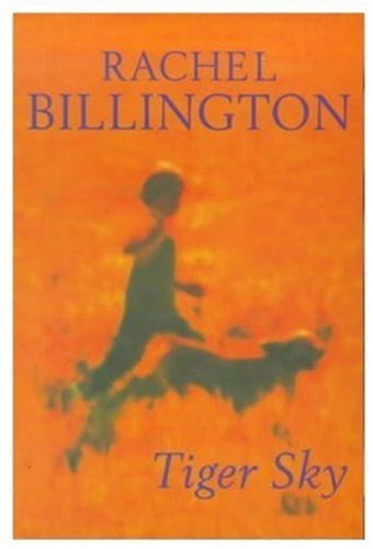 Tiger Sky by Rachel Billington