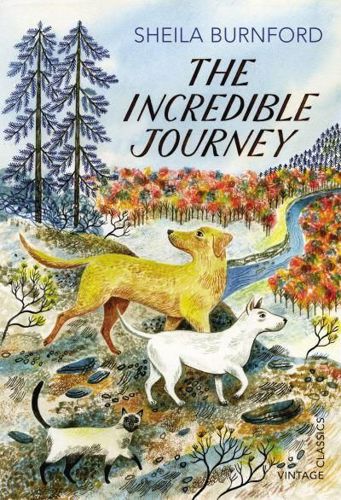 The incredible journey by Sheila Every Burnford