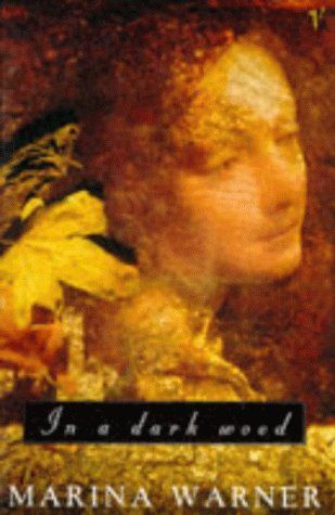 In a Dark Wood by Marina Warner