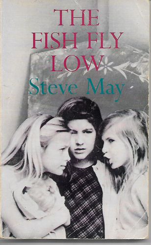 The Fish Fly Low by Steve May