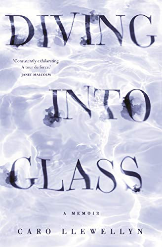 Diving Into Glass by Caro Llewellyn