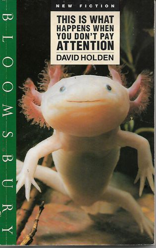 This Is What Happens When You Don't Pay Attention by David Holden