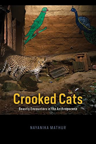 Crooked Cats - Beastly Encounters in the Anthropocene by Nayanika Mathur