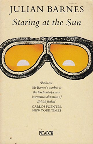 Staring At the Sun by Julian Barnes