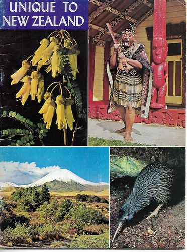 Unique To New Zealand by Arthur L. Kidson