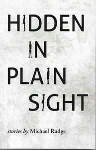 Hidden in Plain Sight  by Michael Rudge