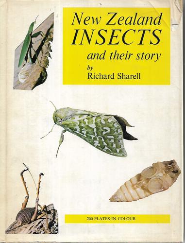 New Zealand Insects And Their Story by Richard Sharell