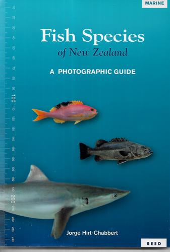 Fish Species Of New Zealand: A Photographic Guide by Jorge Hirt-Chabbert