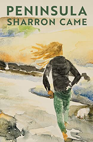 Peninsula by Sharron Came