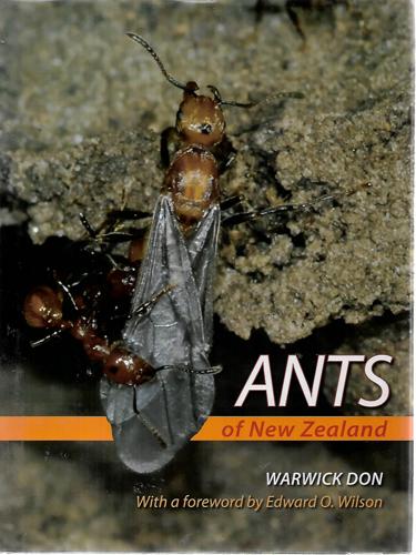 Ants Of New Zealand by Warwick Don