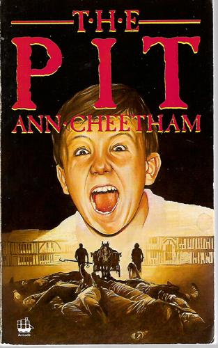 The Pit by Cheetham, Ann