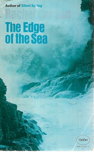 The Edge Of The Sea by Rachel Carson