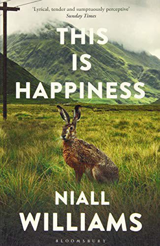 This Is Happiness by Niall Williams