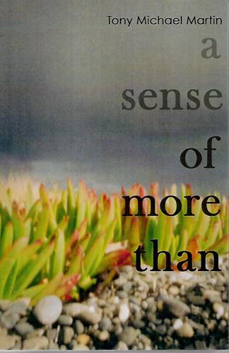 A Sense Of More Than by J. A. M. Martin