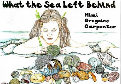 What the Sea Left Behind by Mimi Gregoire Carpenter