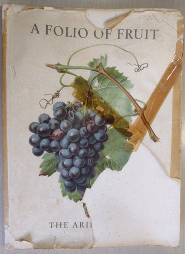 A Folio Of Fruit by Carlos Von Riefel