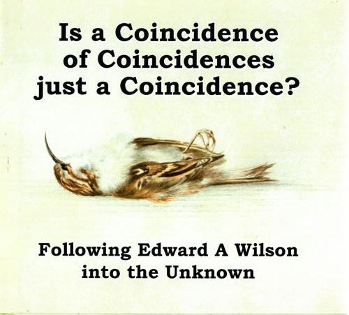 Is A Coincidence Of A Coincidences Just A Coincidence? Following Edward A Wilson Into The Unknown by John Flux