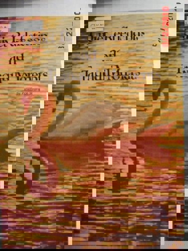 Quiet Reflections And Tranquil Moments by Patience Strong