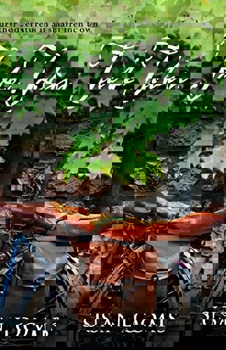 Tarte Tatin: Further Adventures in a Small French Town by Susan Loomis