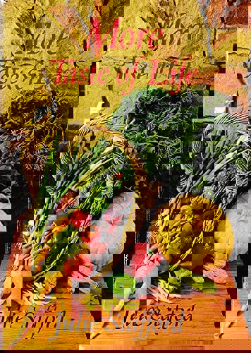 More Taste Of Life by Julie Stafford