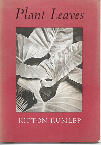 Plant Leaves by Kipton Kumler