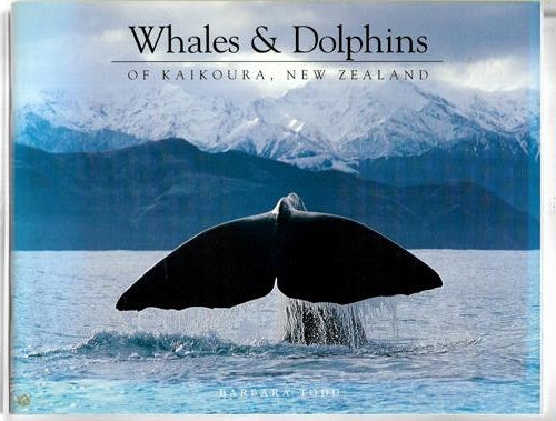 Whales & Dolphins Of Kaikoura, New Zealand by Barbara Todd