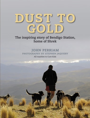 Dust To Gold : The Inspiring Story Of Bendigo Stat by John Perriam
