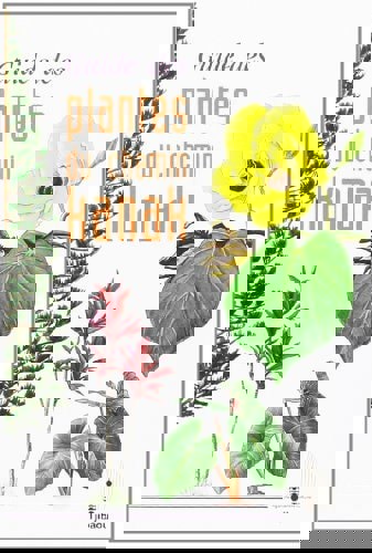 Guide Des Plantes Du Chemin Kanak by Emmanuel Kasarherou and Bealo Wedoye