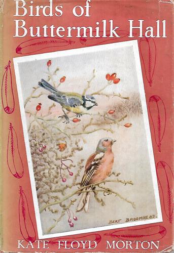 Birds Of Buttermilk Hall by Kate Floyd Morton