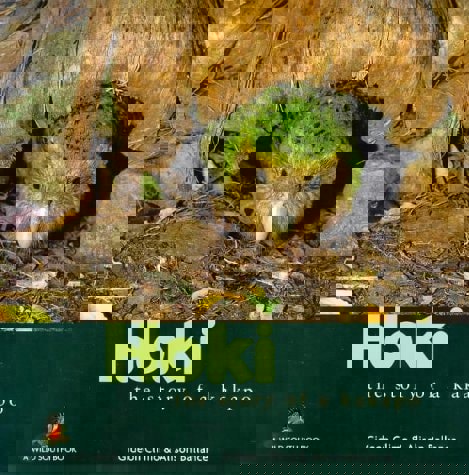 Hoki: The Story Of A Kakapo by Alison Ballance and Gideon Climo