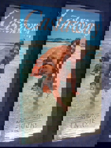 Castaway by Lucy Irvine