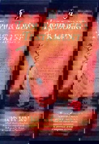 A Troubadour's Testament: A Novel by James Cowan