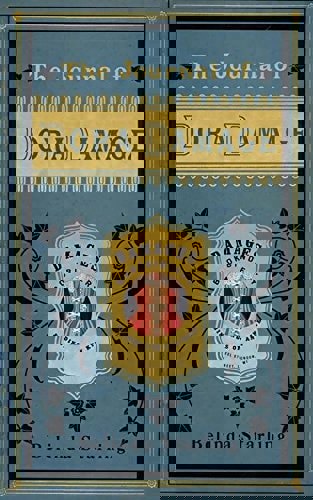 The Journal Of Dora Damage by Belinda Starling