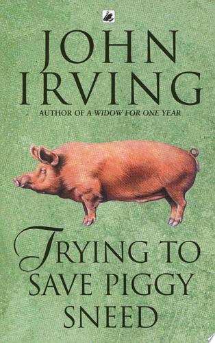 Trying To Save Piggy Sneed by John Irving