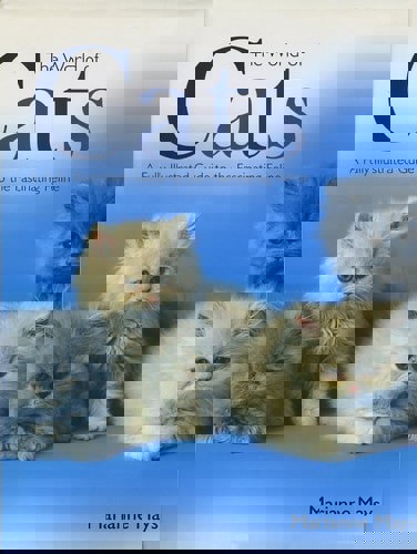 The World Of Cats: A Fully Illustrated Guide To The Fascinating Feline by Marianne Mays