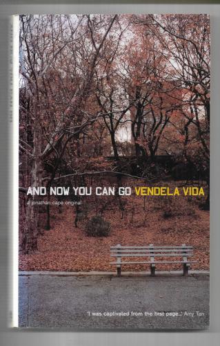 And Now You Can Go by Vendela Vida