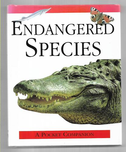 Endangered Species by Rebecca Kingsley and David Manson and Maggie Manson and Andy McColm and Judith Millidge