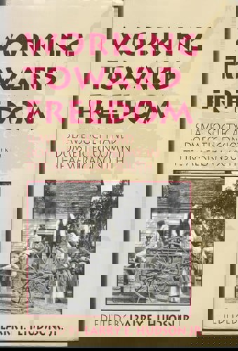 Working Toward Freedom: Slave Society And Domestic Economy In The American South by Larry E. Hudson Jr