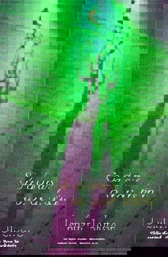 Shadows On Our Skin by Jennifer Johnston