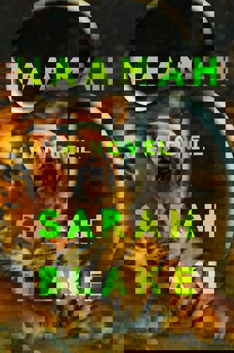 Naamah: A Novel by Sarah Blake