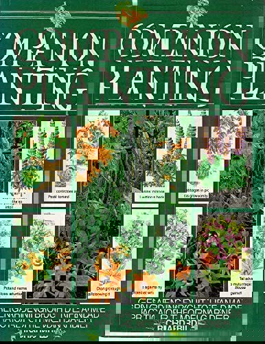 Companion Planting: Green Gardening Brought To Life And Made Practical For The Modern Gardener by Richard Bird