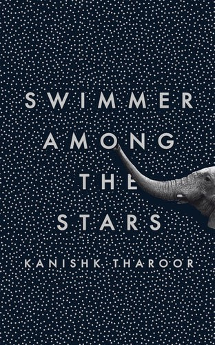 Swimmer Among The Stars by Kanishk Tharoor
