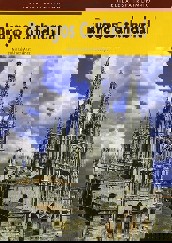 Burgos Cathedral by Nicolas Lopez Martinez