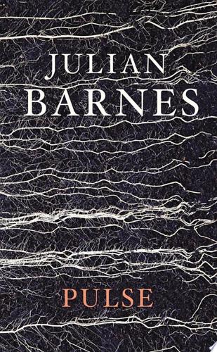 Pulse by Julian Barnes