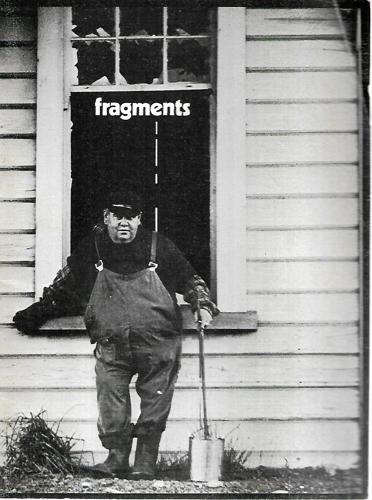 Fragments - The Poems That Happen On Everybody's Doorsteps by David Young