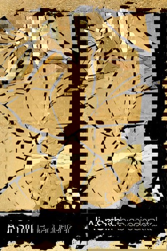 The Accidental by Ali Smith