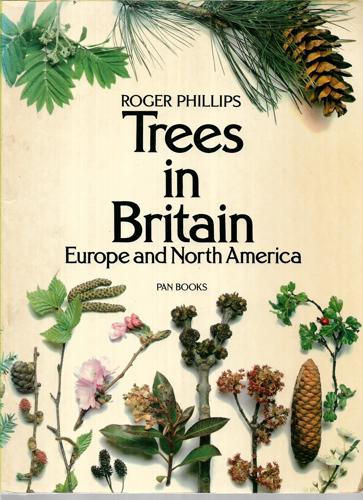 Trees In Britain, Europe And North America by Roger Phillips