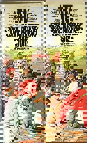 View From Another Shore by Franz Rottensteiner